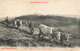 Agriculture - Les Pyrénées - Scène De Labour Dans Les Pyrénées - Phot. Labouche Frères - Boeuf  - Carte Postale Ancienne - Equipaggiamenti