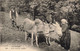 Agriculture - Les Pyrénées - Deux Heureux Couples - Anes - Dos Vert   - Carte Postale Ancienne - Attelages