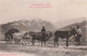 Agriculture - Les Pyrénées - Un Attelage Montagnard - Ane - Phot. Labouche Frères - Carte Postale Ancienne - Wagengespanne