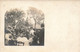 Photographie - Famille - Repas - Enfant - Chapeau - Précurseur - Carte Postale Ancienne - Photographs