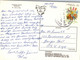 (1 P 15) Australia - TAS - Gordon River (1991 Posted With Flower Stamp) - Wilderness