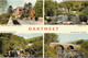 SCENES FROM DARTMEET, DARTMOOR, DEVON, ENGLAND. UNUSED POSTCARD   Kw9 - Dartmoor