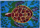 Turtle - Tortugas