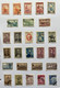 COLLECTION DE PLUS DE 250 TIMBRES NEUFS ET OBLITERES D'ARGENTINE SUR CHARNIERE SUR FEUILLE CARTONNEE - Collections, Lots & Series