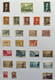 Delcampe - COLLECTION DE PLUS DE 250 TIMBRES NEUFS ET OBLITERES D'ARGENTINE SUR CHARNIERE SUR FEUILLE CARTONNEE - Collections, Lots & Series