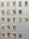 Delcampe - COLLECTION DE PLUS DE 250 TIMBRES NEUFS ET OBLITERES D'ARGENTINE SUR CHARNIERE SUR FEUILLE CARTONNEE - Collections, Lots & Series