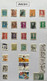 COLLECTION DE 46 TIMBRES NEUFS ET  OBLITERES DU BRESIL SUR CHARNIERE SUR FEUILLE CARTONNEE - Collections, Lots & Series