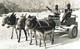 NAMIBIE ( Sud Ouest Africain ) - PHOTOGRAPHIE De KETTLER Jean Paul -Charrette, Ânes - SUPERBE CLICHE - RARE - VOIR SCANS - Namibie