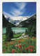 AK 119884 CANADA - Alberta - Lake Louise3 - Lac Louise