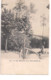 Belgique Carte Postale.  RHODE ST GENESE. Lac Des Sept Fontaines Animation .1908. - Rhode-St-Genèse - St-Genesius-Rode