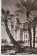 C.P. - PHOTO - MONTE CARLO - LE CASINO ET LES TERRASSES - 1542 - LA CIGOGNE - - Monte-Carlo