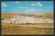 ALGERIA  ,  Ghardaia   ,  OLD  POSTCARD - Ghardaïa