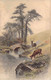 CHASSE - Cerf Dans La Nature - Illustration Non Signée - Carte Postale Ancienne - Chasse