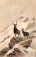 ANIMAUX - Cerf Dans La Nature Sur Un Rocher - Montagne - Carte Postale Ancienne - Sonstige & Ohne Zuordnung