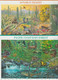 USA - ANIMAUX / ANIMALS / TIERE ! COLLECTION FEUILLES ** MNH - 6 PAGES ! - Sammlungen