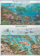 Delcampe - USA - ANIMAUX / ANIMALS / TIERE ! COLLECTION FEUILLES ** MNH - 6 PAGES ! - Collezioni & Lotti