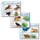 UN 2023 United Nation- Endangered Species,Eagle,Sheep,Turtle,Horse,Whale,Antelope,Lynx,Flower.MNH(**) - Nuovi