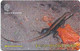 Dominica - C&W (GPT) - Ground Lizard - 244CDMB - 1999, 10.000ex, Used - Dominique