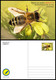 DJIBOUTI 2023 - STATIONERY CARD - BEES BEE ABEILLES ABEILLE INSECTS - PANDEMIC COVID-19 CORONAVIRUS - Abeilles