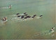 CPM En Camargue Gardians Et Manade De Taureaux Traversant Un étang Photo Aérienne Alain Perceval - Taureaux