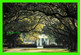 CHARLESTON, SC - BOONE HALL PLANTATION - PHOTO BY BILL R. SCROGGINS - BRANDON ADV. - - Charleston