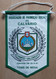 Associação De Promoção Social Do Calvário, Table Tennis PENNANT, SPORTS FLAG  SZ74/53 - Table Tennis