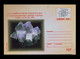 Sp9604 ROMANIA Minerals Speologie Geologie TURDA 2004/ XV BIENAL Filatelia Polar Cover Postal Stationery - Minéraux