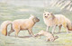 CHIENS - Deux Renards Ont Attrapés Un Lapin - Carte Postale Ancienne - Dogs