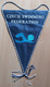 Czech Swimming Federation Czech Republic  PENNANT, SPORTS FLAG  SZ74/60 - Natación
