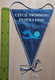 Czech Swimming Federation Czech Republic  PENNANT, SPORTS FLAG  SZ74/60 - Natación