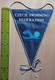 Czech Swimming Federation Czech Republic  PENNANT, SPORTS FLAG  SZ74/60 - Natation