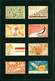 Japan Japon Nippon Carte SHISEIDO Match Labels (2008) - Autres & Non Classés