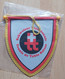 Schweizer Tischtennis Tennis De Table Suisse Switzerland Table Tennis Federation PENNANT, SPORTS FLAG  SZ74/70 - Tischtennis