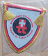 Schweizer Tischtennis Tennis De Table Suisse Switzerland Table Tennis Federation PENNANT, SPORTS FLAG  SZ74/70 - Tennis Tavolo