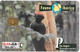 CARTE-PUCE-ESPAGNE-06/01-GEM-OISEAU-PIC NOIR-PITO NEGRO-TBE - Pájaros Cantores (Passeri)