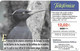 CARTE-PUCE-ESPAGNE-06/01-GEM-OISEAU-PIC NOIR-PITO NEGRO-TBE - Pájaros Cantores (Passeri)