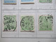 Delcampe - Schweden Klassik 1855 - 1874 Viele Gestempelte Marken Auf Auswahlseiten Uraltes Auktionslos Edgar Mohrmann Hamburg - Used Stamps