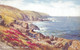 England St Ives Clodgy Five Points Coastal Scenery - St.Ives