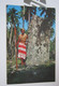 TAHITI - LE GROUPE DE PUEU LAUREAT 1ER PRIX DES FETES DE JUILLET 1965 - COSTUME ET DANSE + Carte Gratuite - Tahiti
