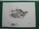 TAAF Grande Gravure Format 320x250 Du 1/1/93  N° 176 Skua Signé Andréotto N° 262/1200 - Sonstige & Ohne Zuordnung