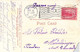 USA - ARIZONA - Oranges And Roses - Carte Postale Ancienne - Andere & Zonder Classificatie