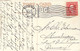 USA - ARIZONA - Spanish Bayonet Un Bloom - Carte Postale Ancienne - Other & Unclassified