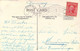 USA - ARIZONA - A PALM DRIVE - Carte Postale Ancienne - Other & Unclassified