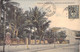 Nouvelle Calédonie - Une Rue à Nouméa - Colonies Françaises - Colorisé - Oblitéré 1905 - Carte Postale Ancienne - New Caledonia