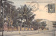 Nouvelle Calédonie - Une Rue à Nouméa - Colonies Françaises - Colorisé - Oblitéré 1905 - Carte Postale Ancienne - Nuova Caledonia
