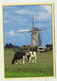 AK 121387 NETHERLANDS - Molen Te Leidschendam - Leidschendam