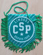 CSP LIMOGES France Basketball Club  PENNANT, SPORTS FLAG ZS 5/10 - Uniformes, Recordatorios & Misc