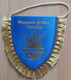 Ukraine Football Federation Association Union Football Club Soccer Fussball Calcio Futbol   PENNANT, SPORTS FLAG ZS 5/20 - Habillement, Souvenirs & Autres