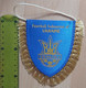 Ukraine Football Federation Association Union Football Club Soccer Fussball Calcio Futbol   PENNANT, SPORTS FLAG ZS 5/20 - Bekleidung, Souvenirs Und Sonstige