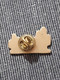 PIN'S PINS PIER IMPORT DECO MEUBLES MAGASIN - Trademarks